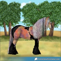 Horse Color:Void Nacre Silver Bay Tobiano 