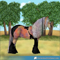 Horse Color:Void Nacre Silver Bay Tobiano 