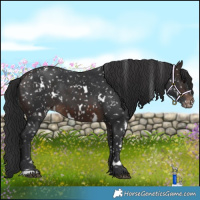 Horse Color:White Spotted Brown Snowflake Varnish
