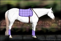 Horse Color:Classic Champagne Splash Leopard 