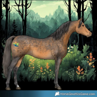 Horse Color:Buckskin Merle 