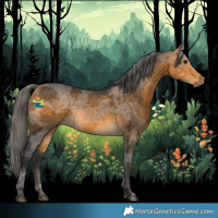 Horse Color:Buckskin Merle 