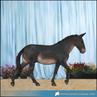 Horse Color:Brown 