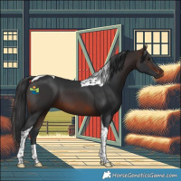 Horse Color:Brown Tobiano 