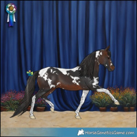 Horse Color:White Spotted Brown Tobiano 