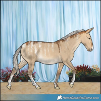 Horse Color:Powder White Silver Buckskin Dun Rabicano
