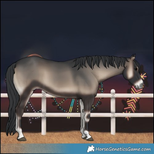 Horse Color:Blue Onyx 