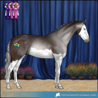 Horse Color:Gray Bay Splash