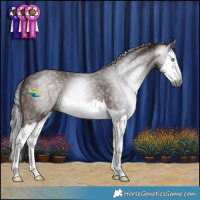 Horse Color:Gray Bay Splash 
