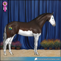 Horse Color:Gray Bay Splash