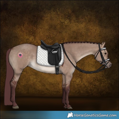 Horse Color:Chocolate Brown Dun 