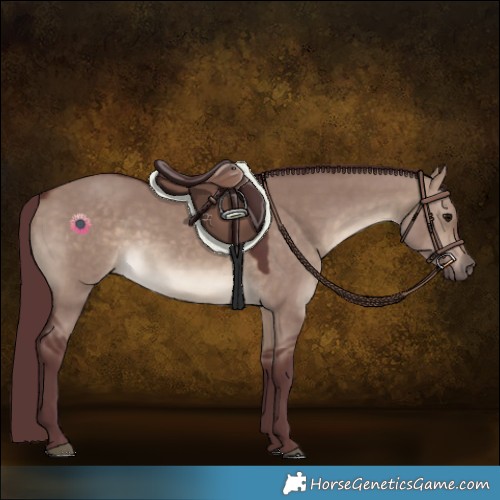 Horse Color:Chocolate Brown Dun