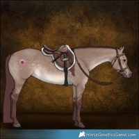 Horse Color:Chocolate Brown Dun 
