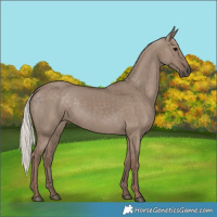 Horse Color:Silver Grullo
