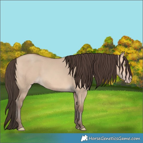 Horse Color:Amber Champagne Dun 