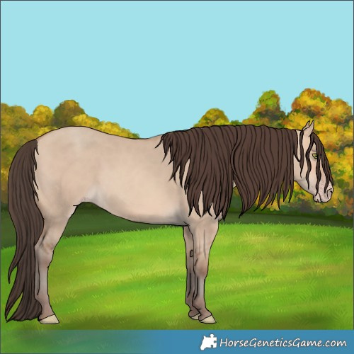 Horse Color:Amber Champagne Dun 