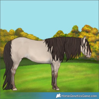 Horse Color:Sable Champagne Dun