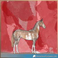 Horse Color:Chocolate Palomino Sabino 