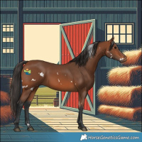 Horse Color:White Spotted Bay