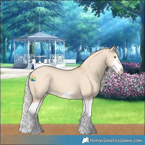 Horse Color:Silver Classic Champagne Dun Splash Frame 