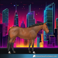 Horse Color:Bay Rabicano 