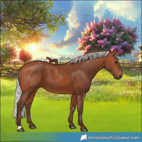 Horse Color:Silver Bay 