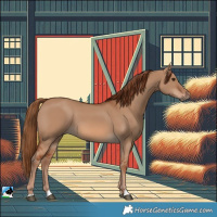 Horse Color:Red Dun 