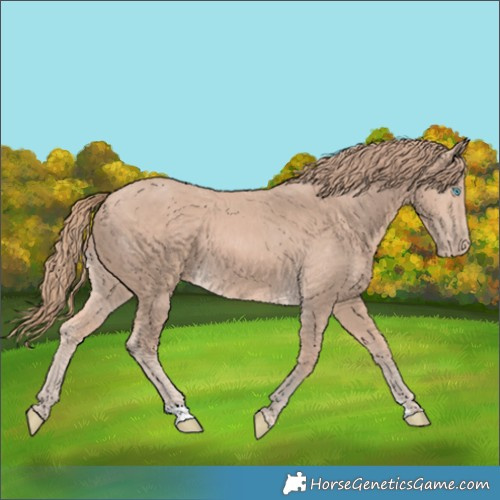 Horse Color:Perlino 