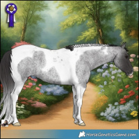 Horse Color:Smoky Blue Roan Tobiano 