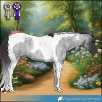 Horse Color:Smoky Blue Roan Tobiano 