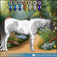 Horse Color:Smoky Blue Roan Tobiano