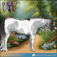 Horse Color:Smoky Blue Roan Tobiano 