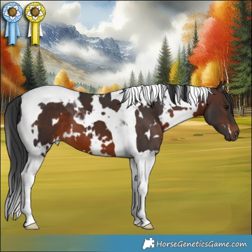 Horse Color:White Spotted Brown Tobiano 