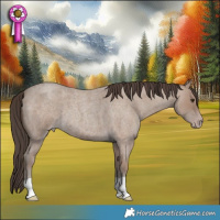 Horse Color:Classic Champagne Roan 
