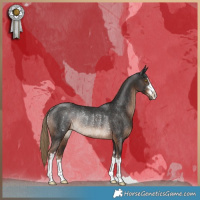 Horse Color:Liver Chestnut Rabicano 