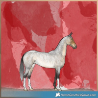Horse Color:Buckskin Roan Rabicano 