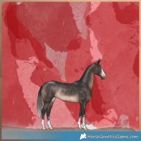 Horse Color:Brown Rabicano 