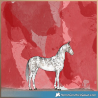 Horse Color:Brown Dun Sabino