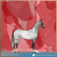 Horse Color:Brown Roan Rabicano 