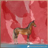 Horse Color:Chocolate Palomino Rabicano