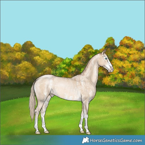 Horse Color:Chocolate Palomino Pearl Dun Sabino 