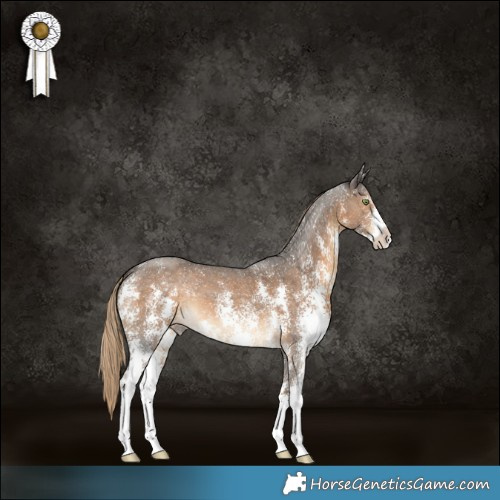 Horse Color:Chocolate Palomino Sabino 