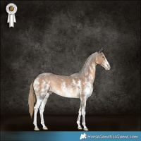 Horse Color:Chocolate Palomino Sabino