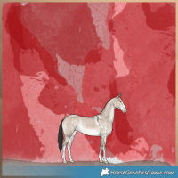Horse Color:Liver Red Dun Sabino Rabicano