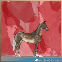 Horse Color:Silver Buckskin 