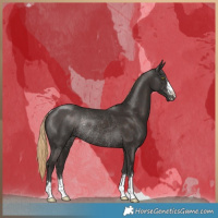 Horse Color:Liver Chestnut Rabicano