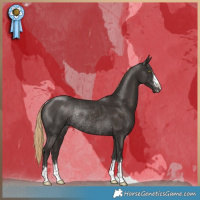 Horse Color:Liver Chestnut Rabicano 