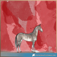 Horse Color:Brown Dun Sabino