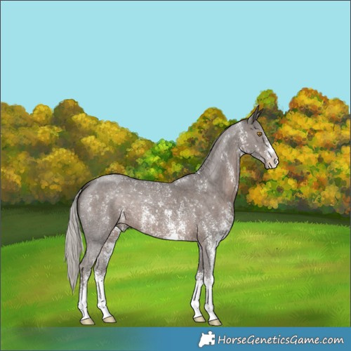 Horse Color:Silver Black Sabino