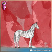 Horse Color:Brown Sabino
